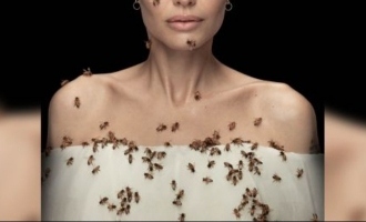 Actress Angelina Jolie World Bees Day photoshoot video