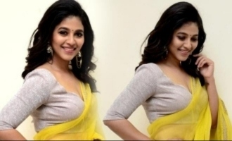 Anjali's latest photoshoot in transparent yellow saree floors netizens