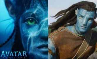 Avatar 2 Release Problem Disney Distributor Issue Tamil Nadu Chennai India Full Details