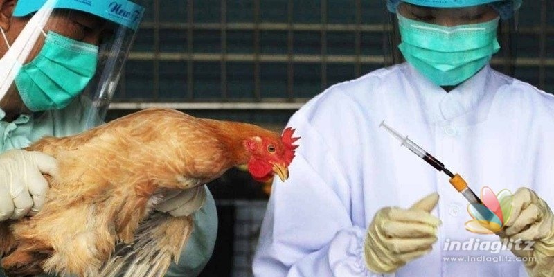 After Coronavirus China faces new fast spreading Bird Flu threat
