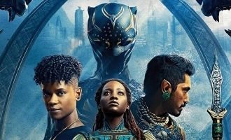 What was the original plot of Chadwick Boseman's Black Panther 2? Click to know