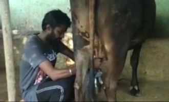 Master actor KPY Dheena milking cow video coronavirus lockdown 
