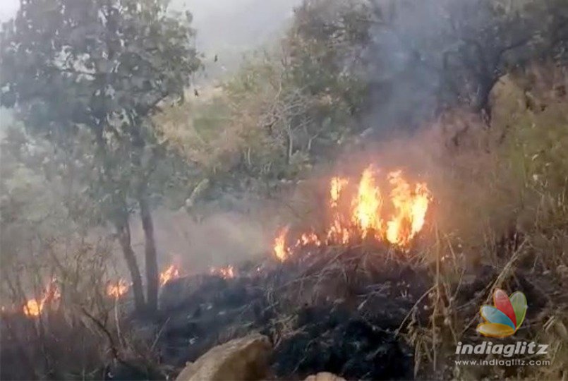 Trekking club shut down after Theni forest fire