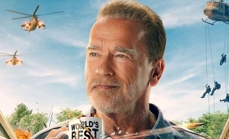 Arnold Schwarzenegger Fubar netflix