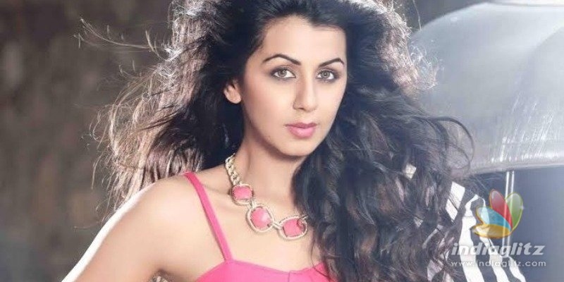 Nikki Galrani reveals about her lover and marriage plans