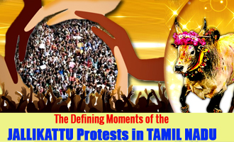 The Defining Moments of the Jallikattu Protests in Tamil Nadu