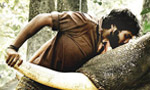 Write your own review for 'Kumki'