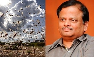 Locust attack K V Anand Kaappaan Suriya Maattraan
