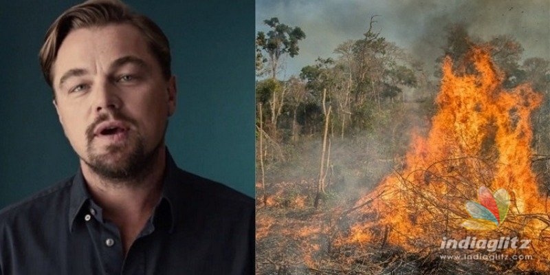 Salute! Leonardo DiCaprio donates huge amount to fight Amazon rainforest fire