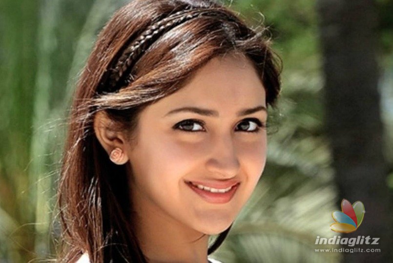 Is Sayyeshaa a part of Thalapathy62 ?