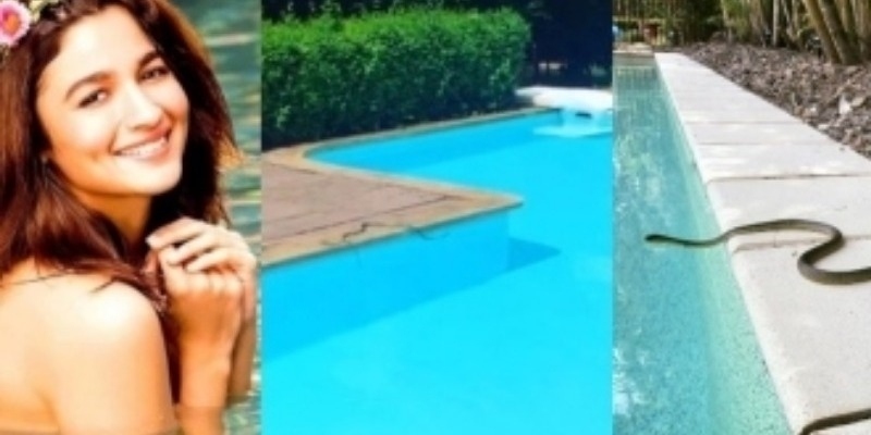 Actress shares video of snake inside her swimming pool - News