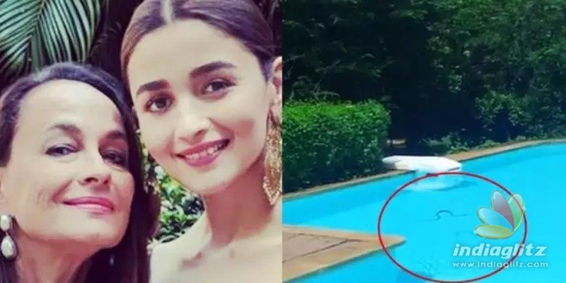 Actress shares video of snake inside her swimming pool