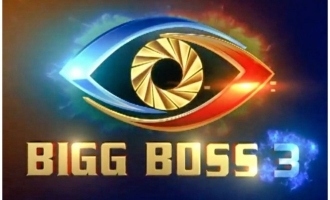 'Bigg Boss 3' contestant beaten up by public