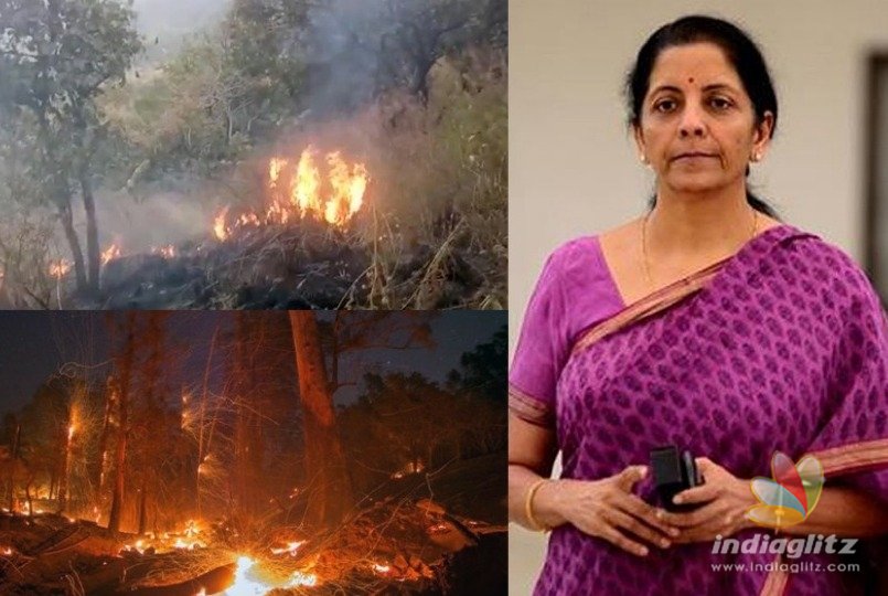 Efforts to douse Theni forest-fire to commence this morning: Defence Minister