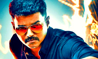 Vijay to give a 'Theri' Pongal for fans
