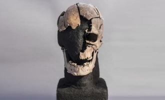 In 3100-3300 BC: Tracing the Life of Vittrup Man, Denmark's Ancient Migrant