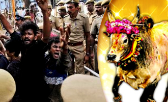 Stormy end to Jallikattu protests, Calm after that- IndiaGlitz Weekly Roundup