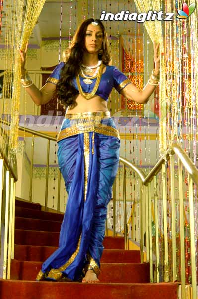 Tabu Photos - Bollywood Actress photos, images, gallery, stills and clips -  IndiaGlitz.com
