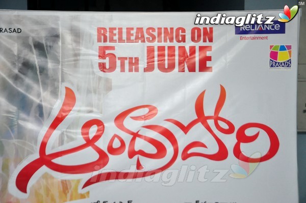 'Andhra Pori' 3D Poster Launch