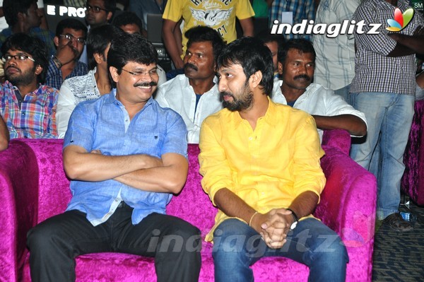 'Kick 2' Audio Launch Set-1