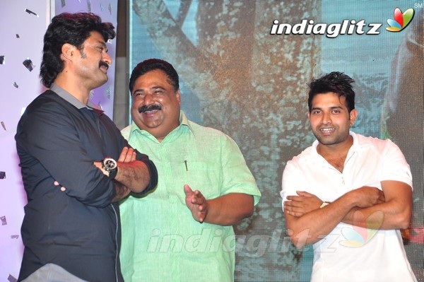 'Kick 2' Audio Launch Set-2