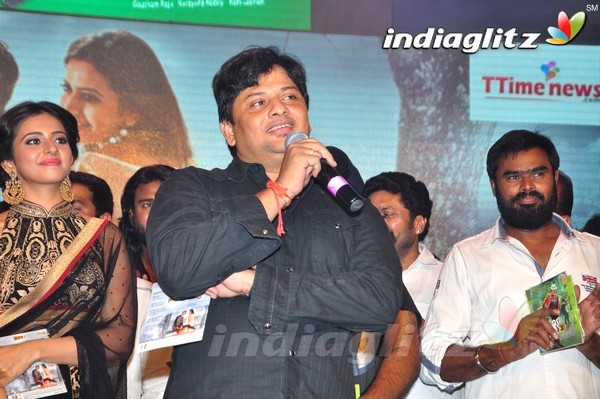 'Kick 2' Audio Launch Set-2