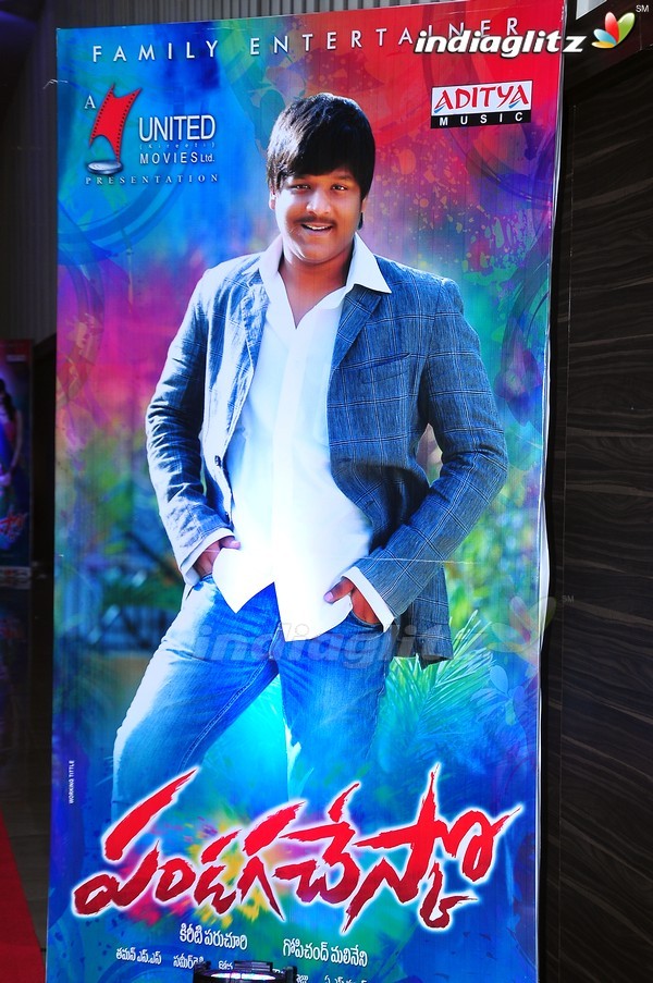 'Pandaga Chesko' Audio Launch Set-1