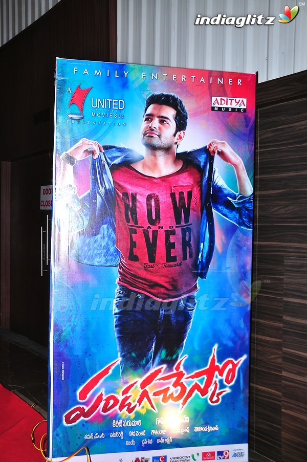 'Pandaga Chesko' Audio Launch Set-1