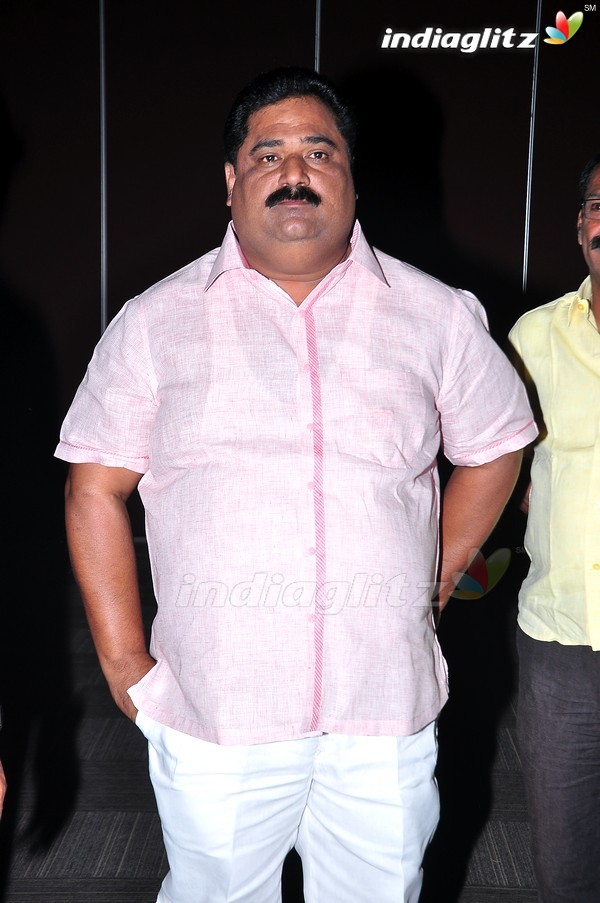 'Pandaga Chesko' Audio Launch Set-1