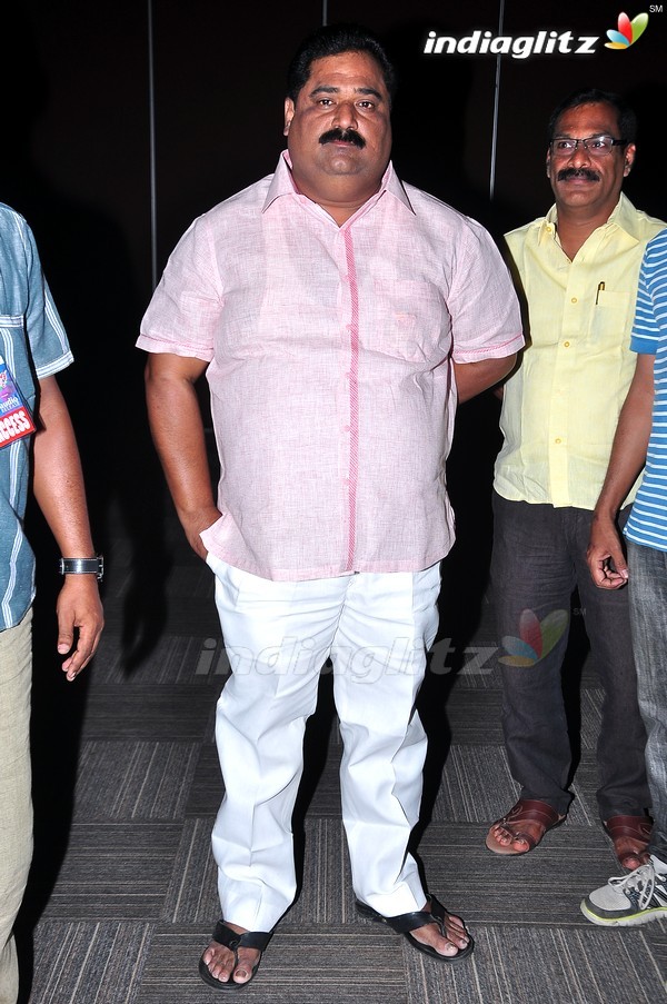 'Pandaga Chesko' Audio Launch Set-1