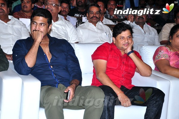 'Pandaga Chesko' Audio Launch Set-1