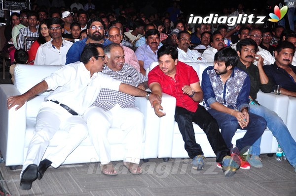 'Pandaga Chesko' Audio Launch Set-1