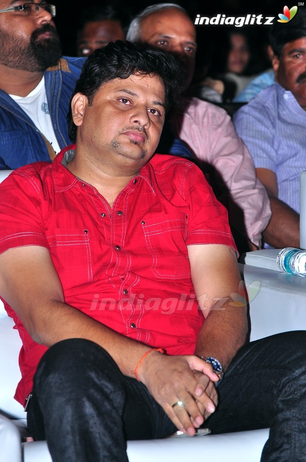 'Pandaga Chesko' Audio Launch Set-1