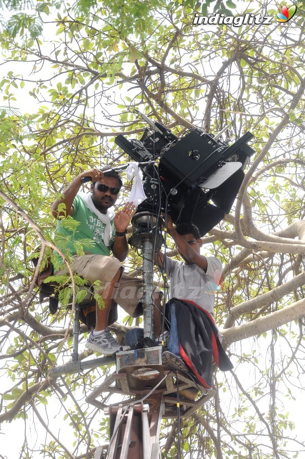 'Action' On Location
