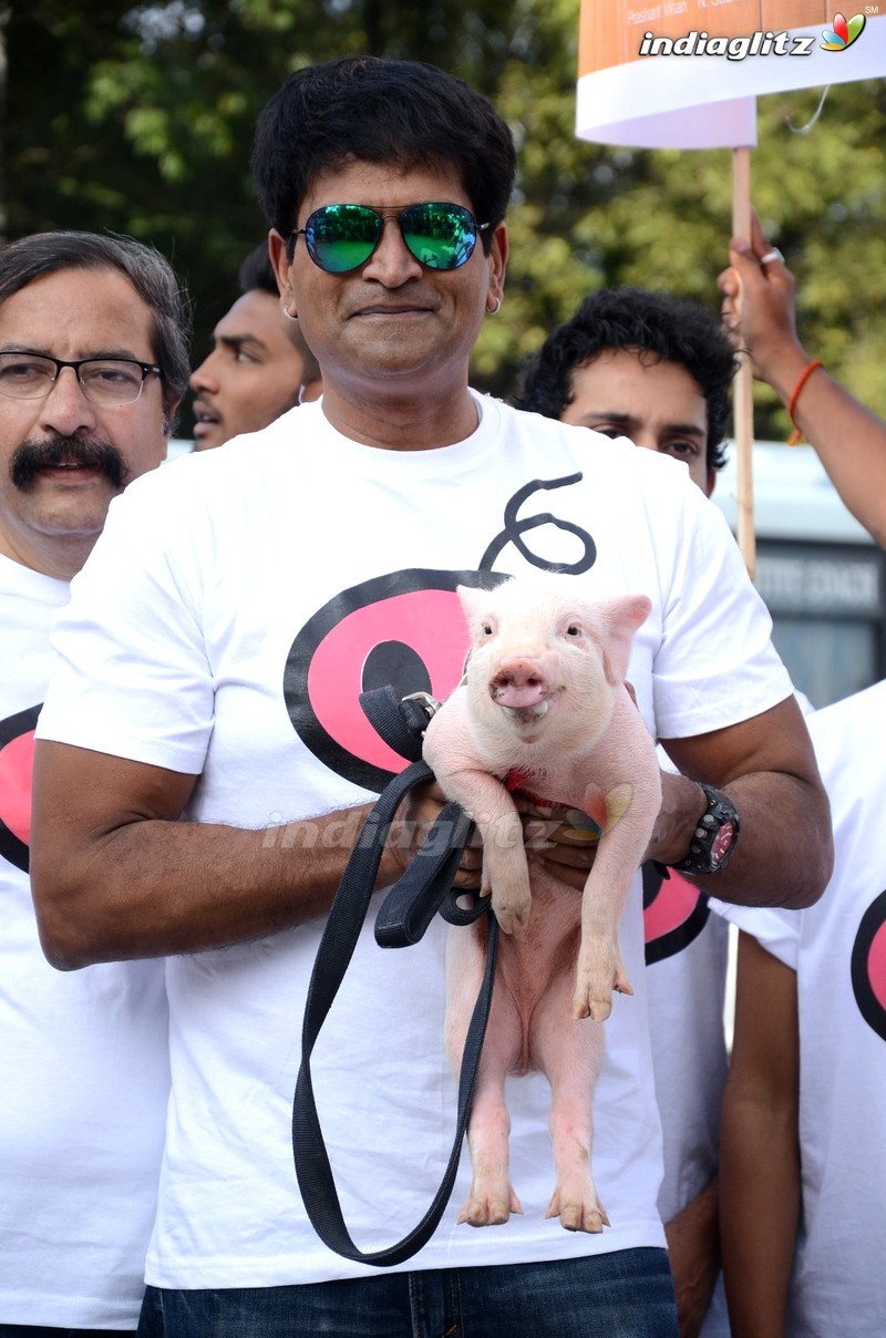 'Adhugo' Team Rallies With Piglet