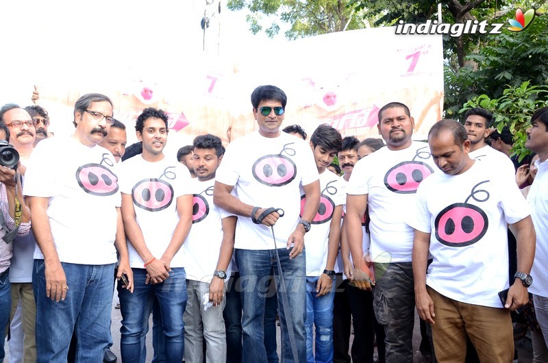 'Adhugo' Team Rallies With Piglet