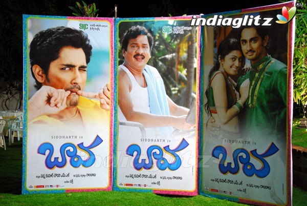 'Baava' Audio Launched