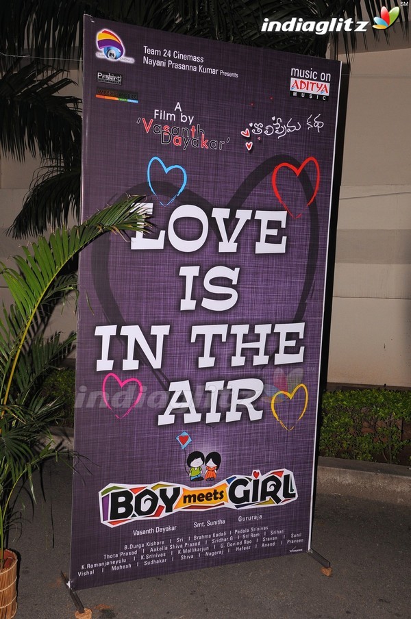 'Boy Meets Girl' Audio Launch
