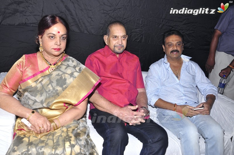 'Brahmotsavam' Audio Launch (Set-1)