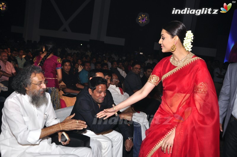 'Brahmotsavam' Audio Launch (Set-1)