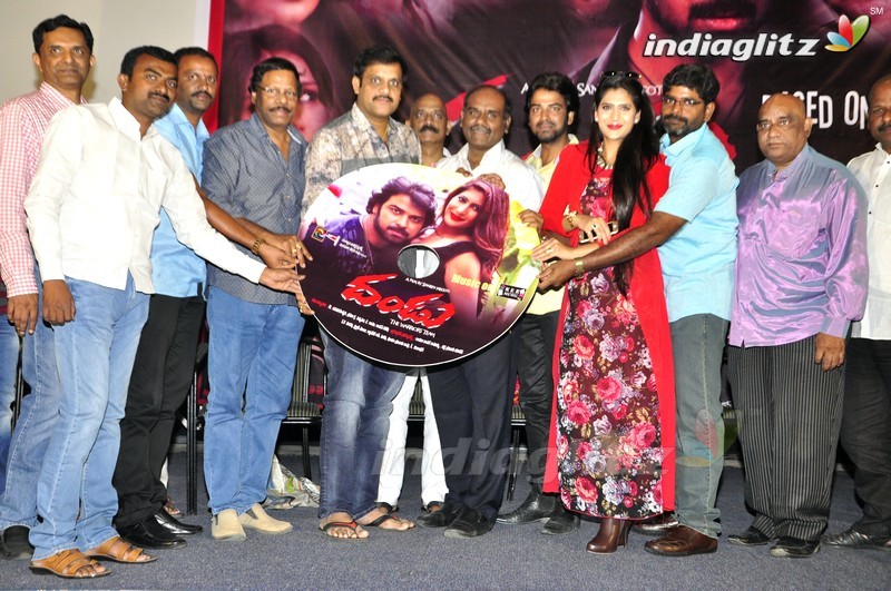 'Dandu' Audio Launch