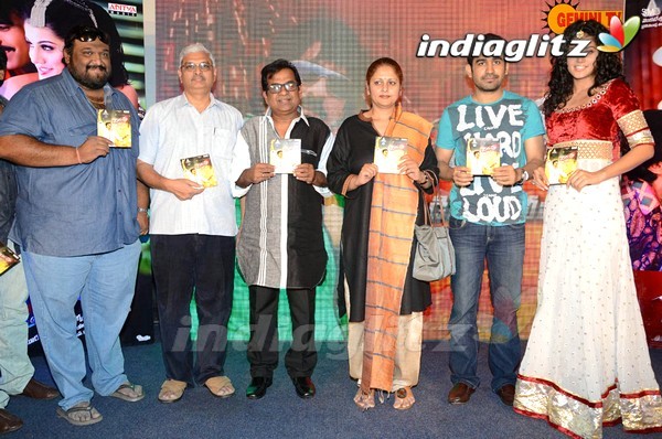 'Daruvu' Music Launched