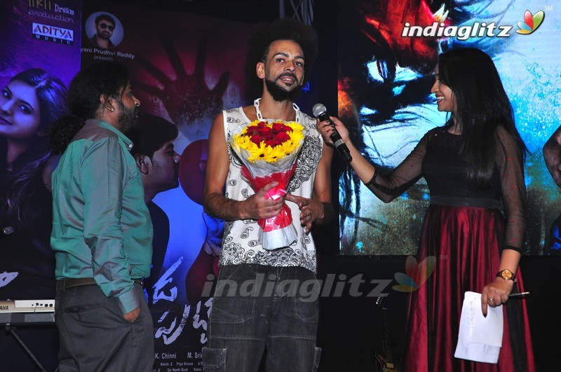 'Dhada Puttistha' Audio Launch