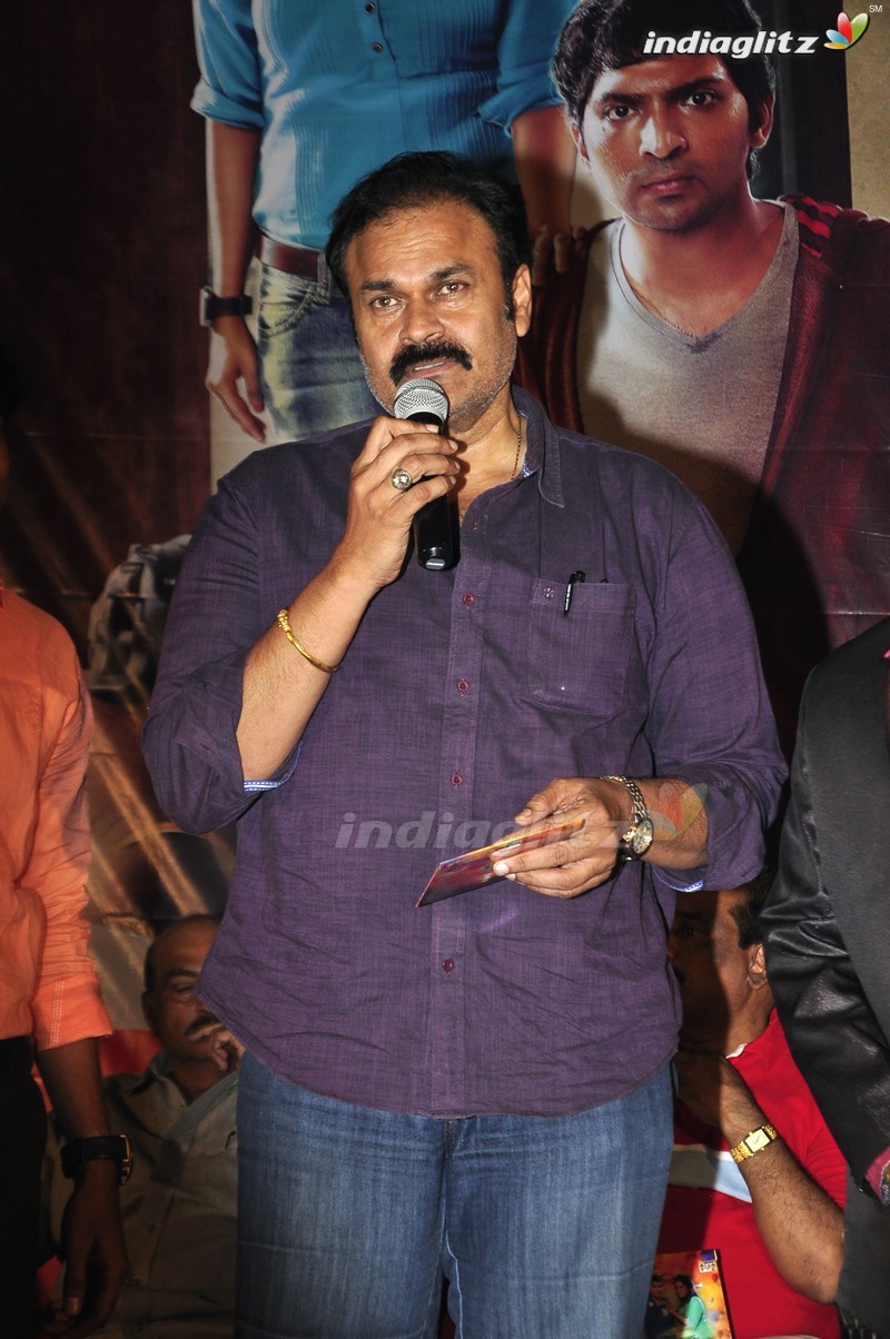 'Dhana Dhan' Audio launch