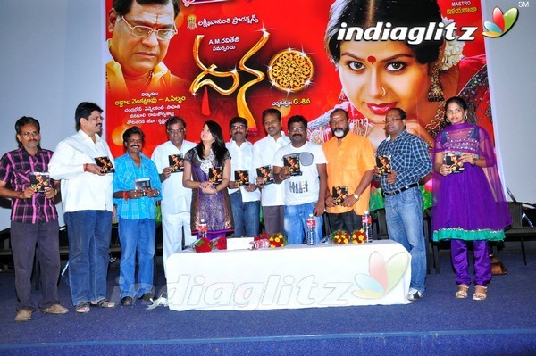 'Dhanam' Audio Launched