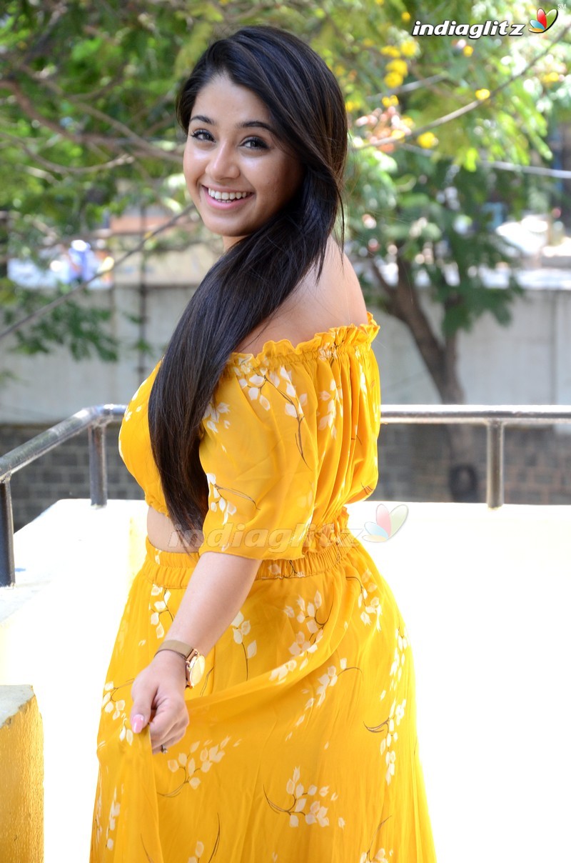 'Diksoochi' Press Meet