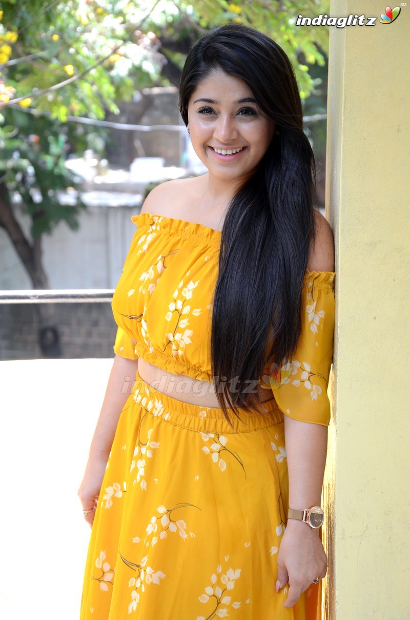 'Diksoochi' Press Meet