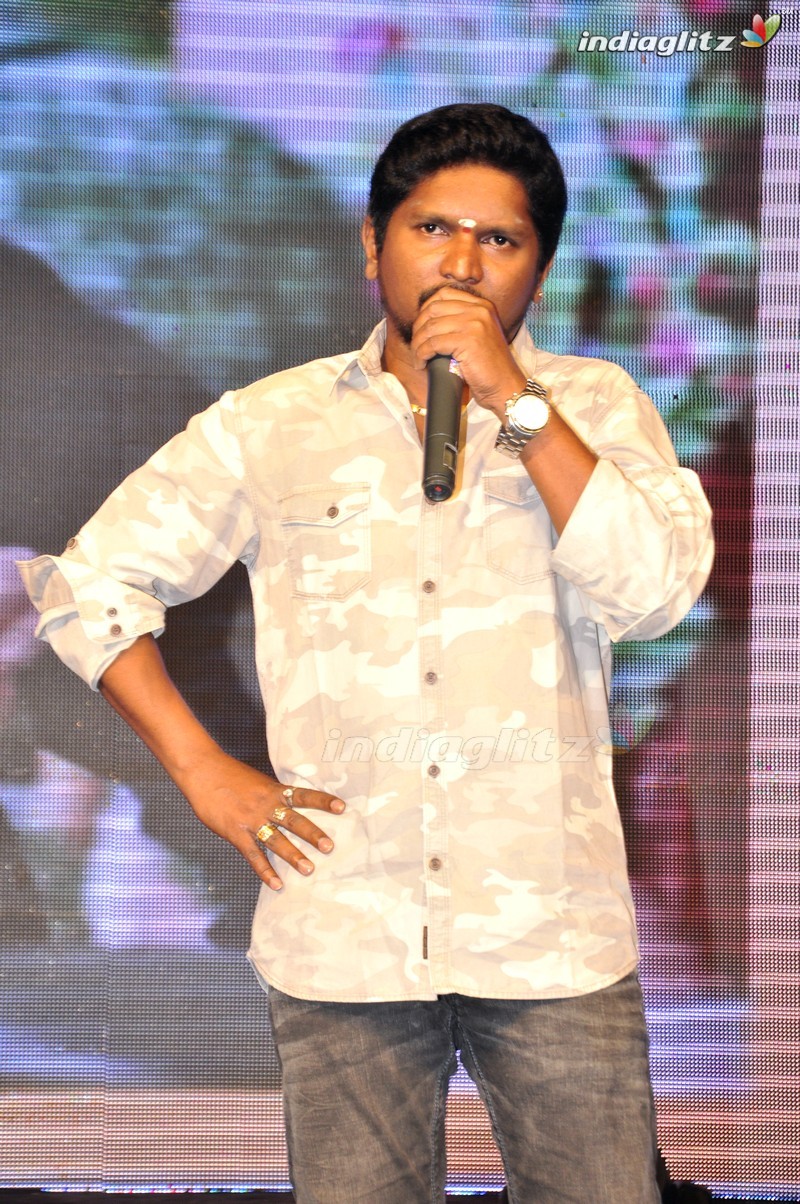 'Eedo Rakam Aado Rakam' Audio Launch (Set-1)