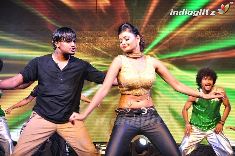 'Eedo Rakam Aado Rakam' Audio Launch (Set-1)