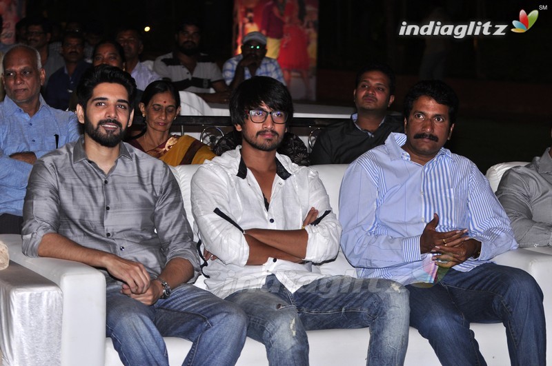 'Eedo Rakam Aado Rakam' Audio Launch (Set-1)